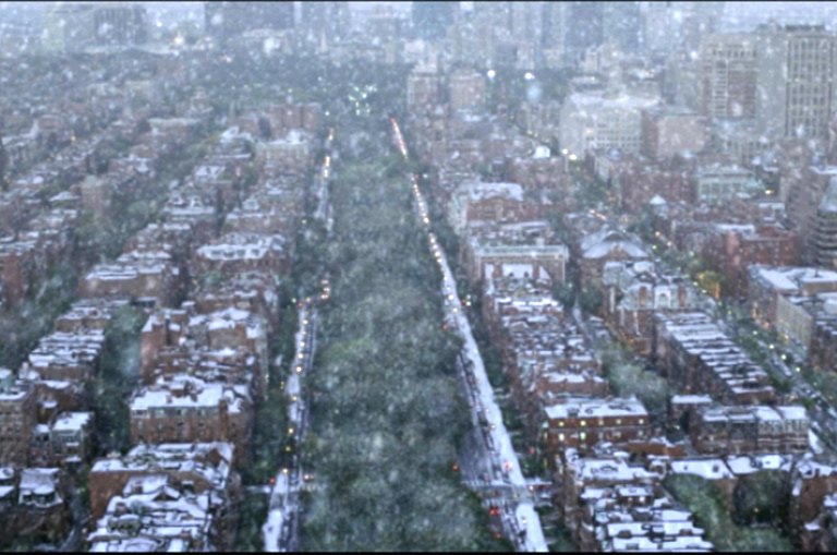 Aerial view of a snowy city with a tree-lined boulevard
