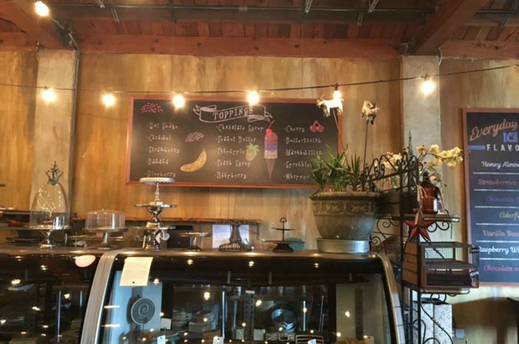 Ice cream shop interior with menus