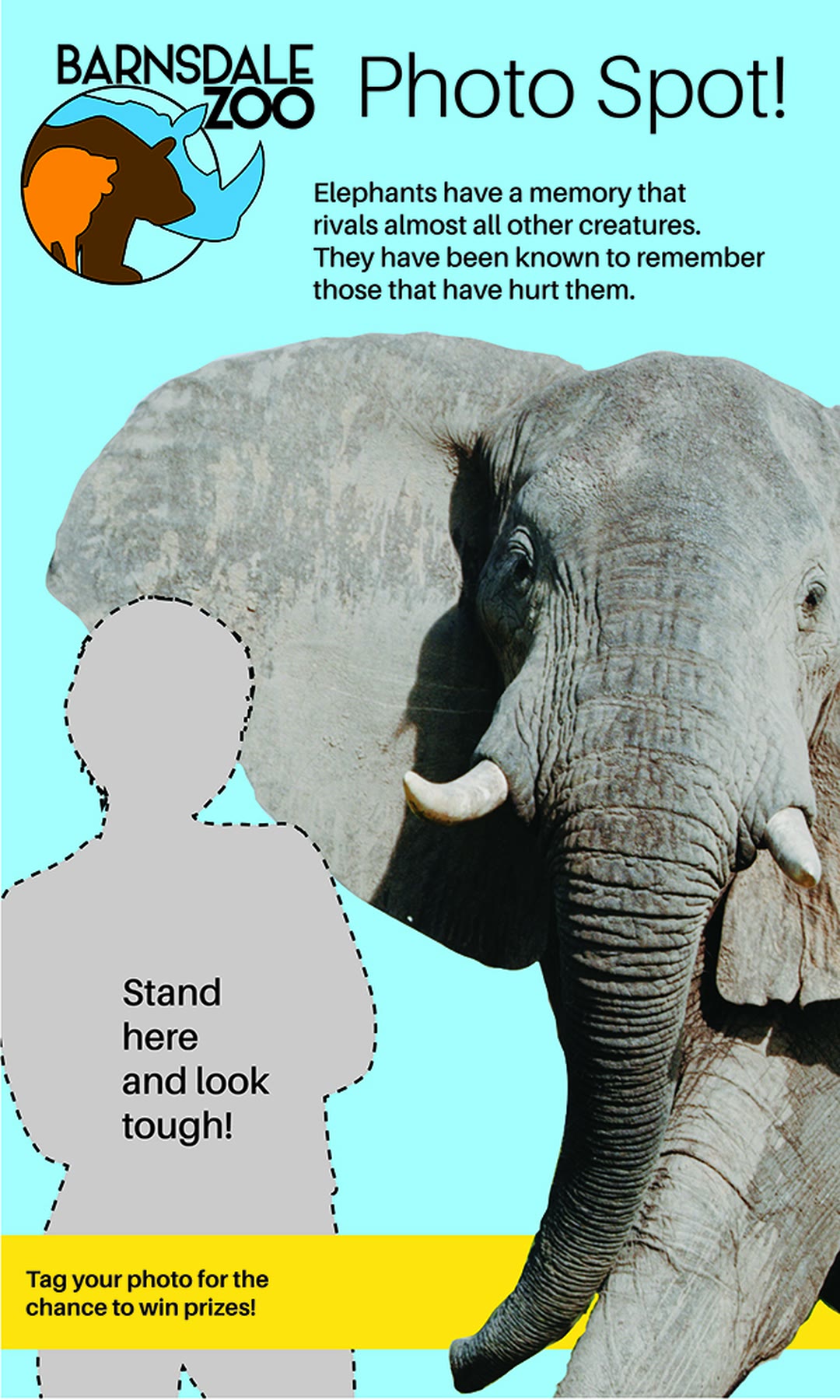 Elephant photo-spot banner
