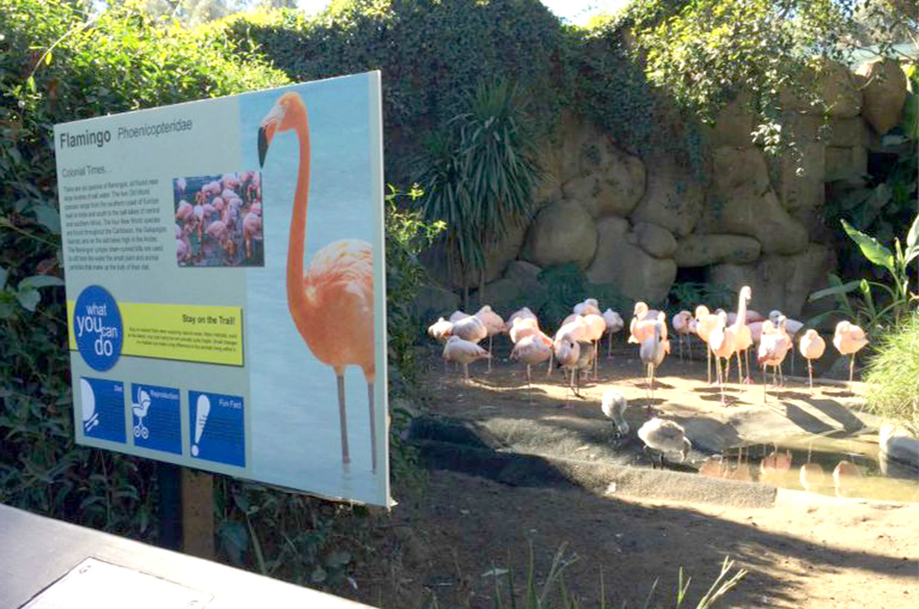 The flamingo sign installed by the exhibit