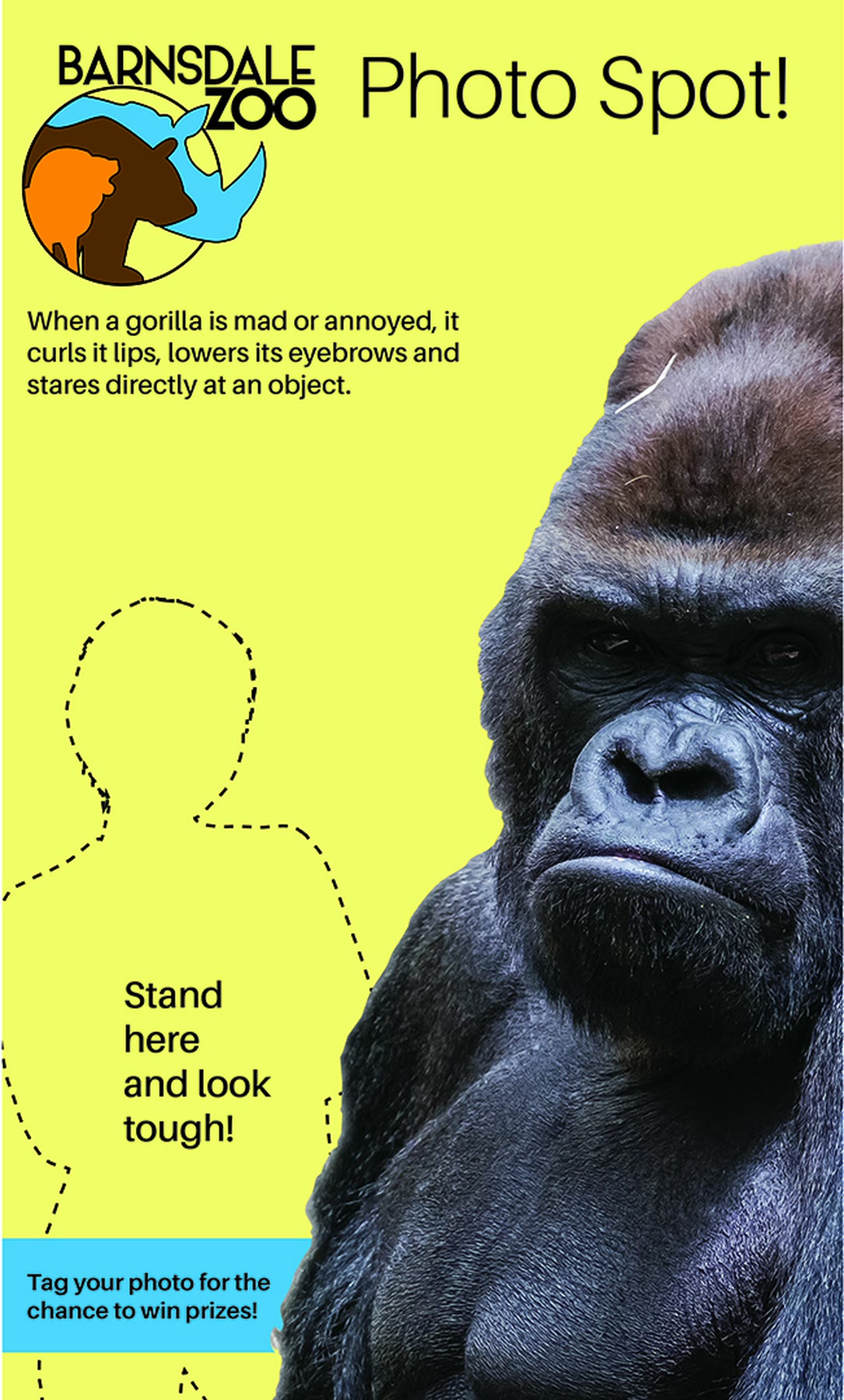 Gorilla photo-spot banner