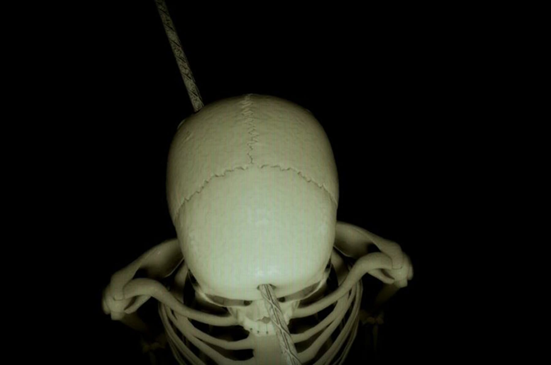 Solid: Rear view