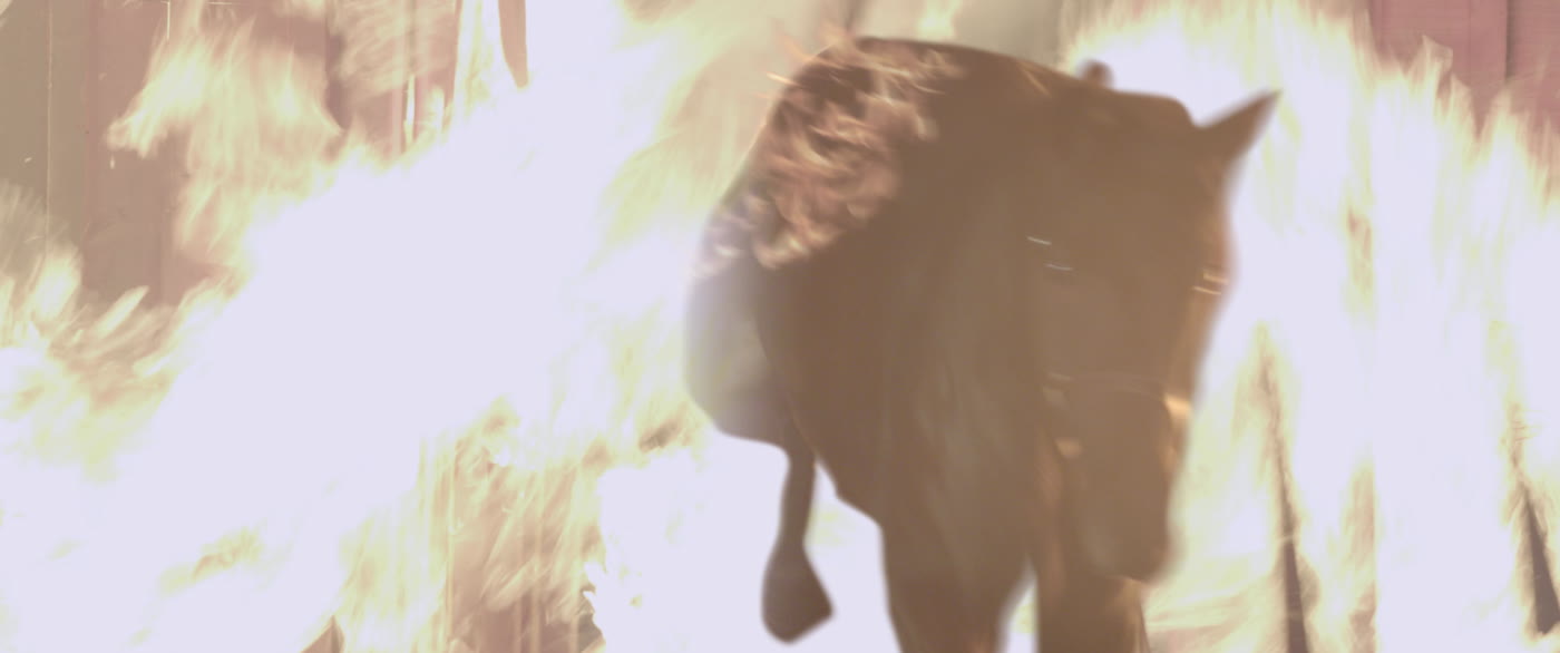 A horse bolting through a burning barn
